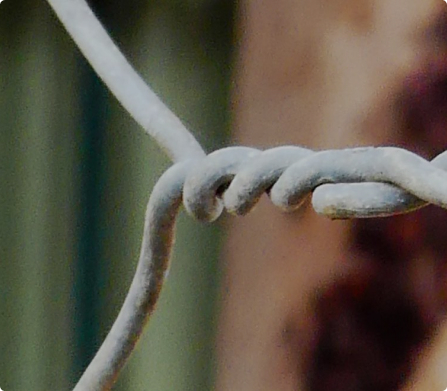 Feral Animal Trap Loans